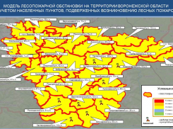 В Воронежской области установили III класс пожароопасности