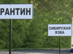 В Воронежской области выздоровели ещё четверо пациентов с сибирской язвой