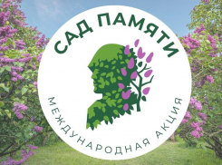 Таловский район присоединился к акции «Сад Памяти»