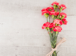 Воронежская область присоединилась к акции «Красная гвоздика»