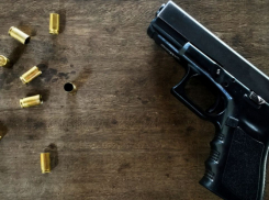 Участников межрегиональной ОПГ задержали в Воронежской области