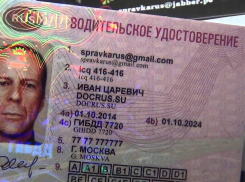 В Аннинском районе вынесли приговор водителю с фальшивыми правами