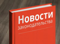 Какие новые законы вступают в силу в ноябре