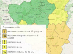 Град, грозы и аномальная жара: погода сходит с ума в Воронежской области