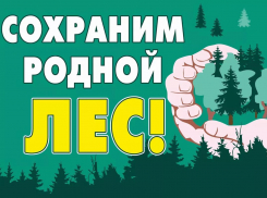 Воронежская область присоединится к акции «Сохраним лес»
