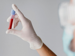 В Воронежской области Почетные доноры смогут получать выплаты по упрощенной схеме