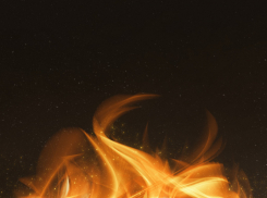 Во время пожара в Панинском районе погиб пенсионер