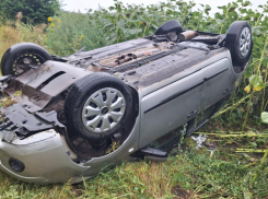 В Аннинском районе произошло массовое ДТП с фурой