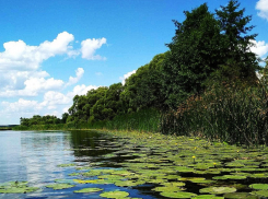 В Эртильском районе пройдёт акция «Родные берега»