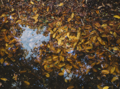 Последняя неделя октября в Воронежской области начнётся с ливней и сильного ветра