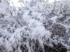 В Воронежской области на выходных похолодает до -24 градусов