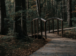 Воронежский заповедник перешел на летний режим работы