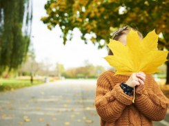 Жителей Эртильского района приглашают на праздник «Здравствуй, школьная пора!»