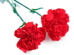 В Таловском районе пройдёт открытие «Памятного знака»