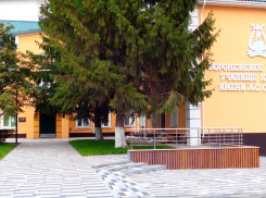 Жителей Бобровского района пригласили на открытие мемориальной доски Надежды Лизнёвой