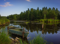 В водоёмах Воронежской области обнаружили 24 штамма холероподобных вибрионов