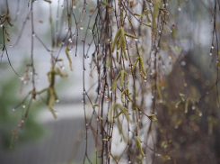 Циклон принесет похолодание и дожди в выходные в Воронежскую область