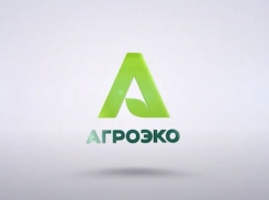 Отравившиеся едой из Таловой сотрудники «Агроэко»идут на поправку