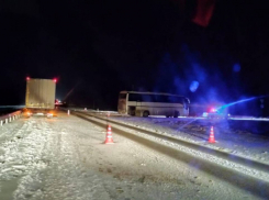 Бастрыкин взял на контроль ДТП автобуса с детьми в Воронежской области