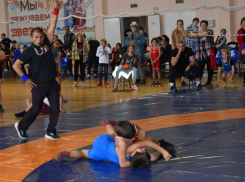 Эртильские спортсмены победили в Межрегиональном турнире по вольной борьбе