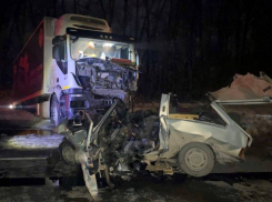 В Аннинском районе в ДТП с фурой погибли три человека