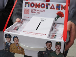 В Воронежской области стартовала благотворительная акция «Красная гвоздика»