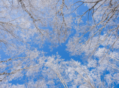 В Воронежской области ожидается морозная и снежная рабочая неделя