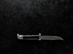 В 2025 году в Воронежской области выросло количество убийств