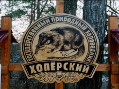 В Хопёрском заповеднике продлили запрет на экскурсии