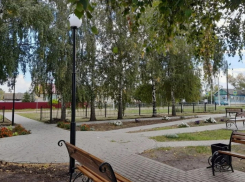 В Панинском районе проведут краеведческий фестиваль «Родной край»