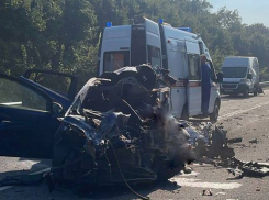 В Аннинском районе произошло ДТП с двумя погибшими