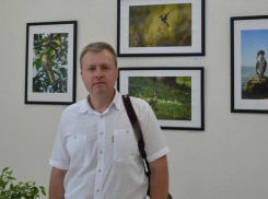 Жителей Аннинского района приглашают на выставку фотографий птиц