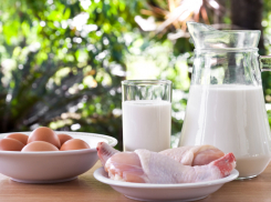 В Россию ограничили ввоз продукцию четырёх белорусских производителей