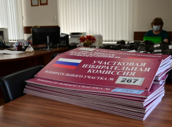 Председателя ТИК Панинского района досрочно отправили в отставку