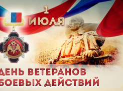 В Таловой прошёл торжественный митинг в честь Дня ветеранов боевых действий