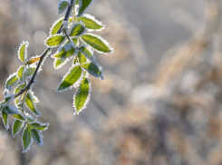 Синоптики рассказали, почему пошёл снег в Воронежской области