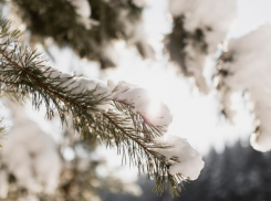 В Воронежской области продлили желтый уровень погодной опасности по гололедице