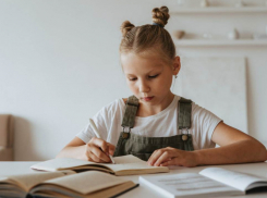 Школьники Воронежской области будут учить на уроках музыки песни Shaman и Газманова