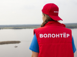 В Воронежской области нашли тела трех пропавших без вести