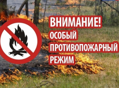 В Воронежской области с 1 апреля введут противопожарный режим