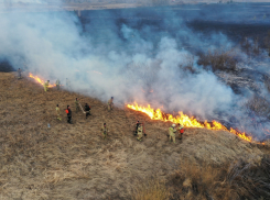 В Воронежской области в 40 раз выросло число ландшафтных пожаров