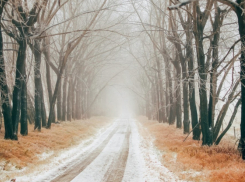 В новогодние праздники из-за гололёда пострадали 558 жителей Воронежской области