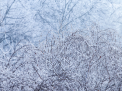 В Воронежской области ожидаются туман и погодные качели