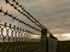 Экс-директора Хреновского колледжа отправили в колонию за покушение на убийство