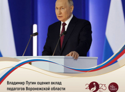 Педагог из ПГТ Анна  Воронежской области получила медаль от Президента РФ 