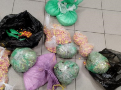 В Богучарском районе полицейские остановили машину с 13 кг прегабалина