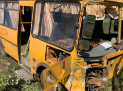 В Панинском районе школьный автобус протаранил грузовик