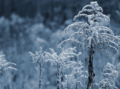 Синоптики рассказали, когда в Воронежскую область придёт зима