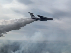 Спасатели объявили о ликвидации крупного пожара в Аннинском районе