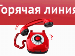 В Воронежской области запустили две горячие линии